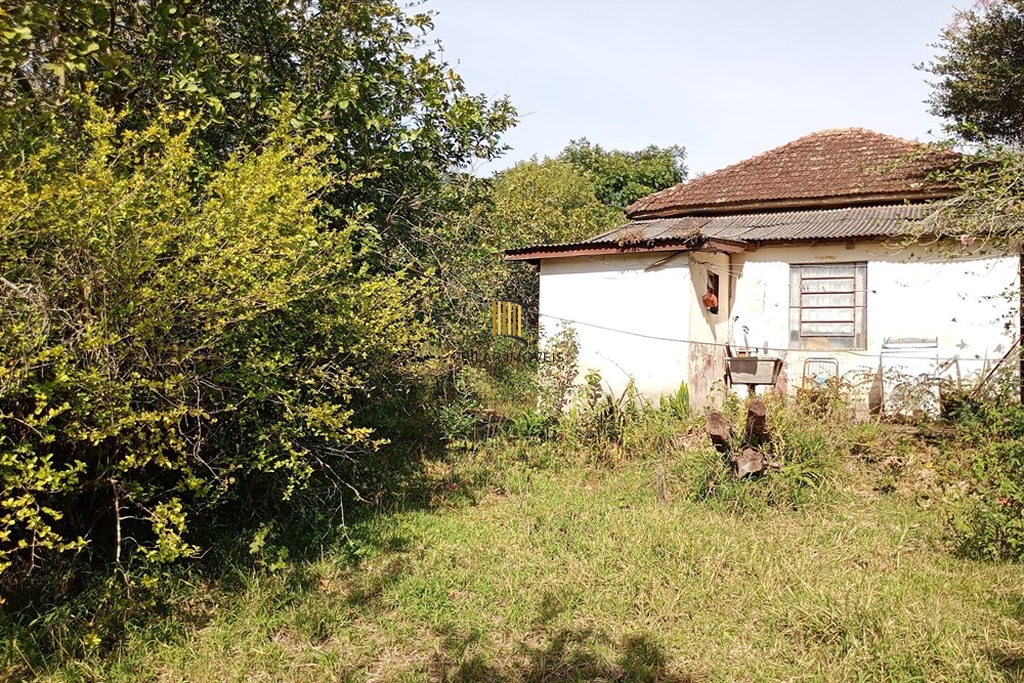 Fazenda no bairro Belém Novo
