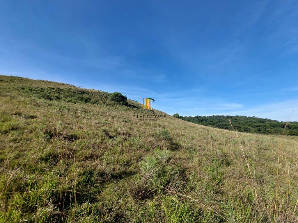 Fazenda no bairro Fazenda Souza
