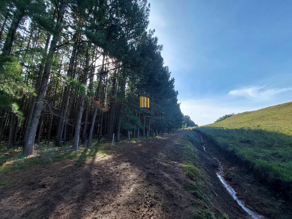 Fazenda no bairro Fazenda Souza