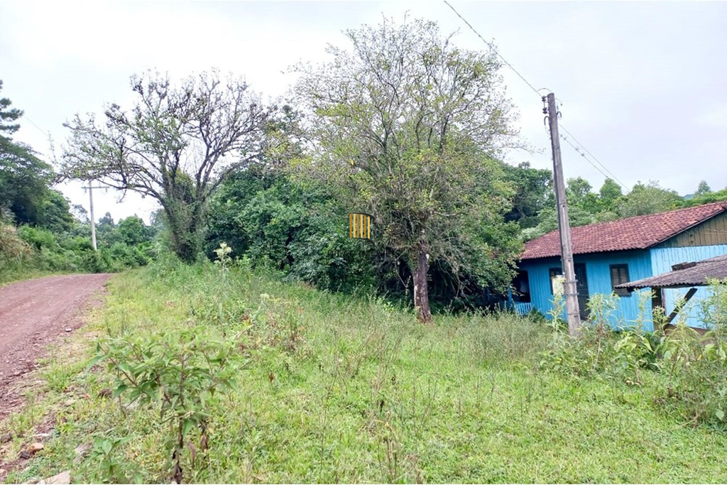 Fazenda no bairro Riozinho