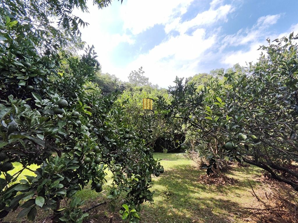 Fazenda no bairro Passo da Branquinha