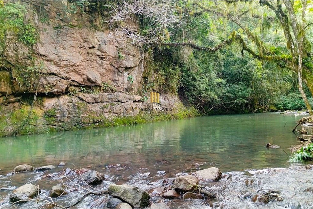 Fazenda no bairro Rolante