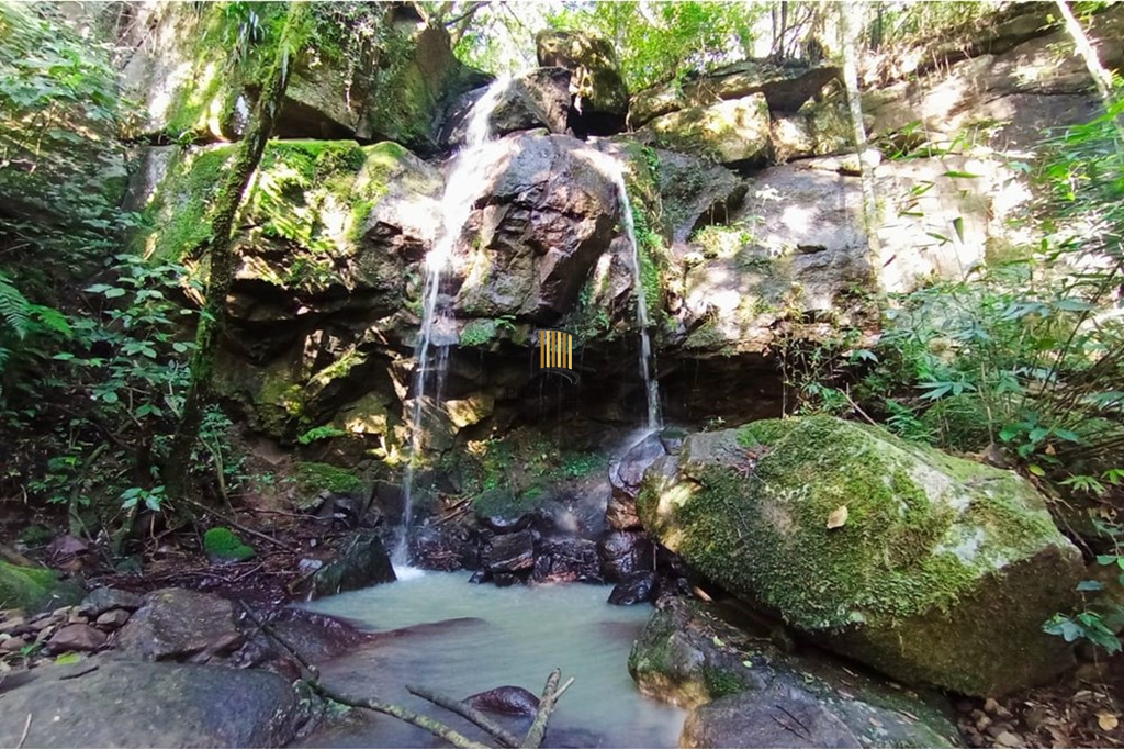 Fazenda no bairro Rolante