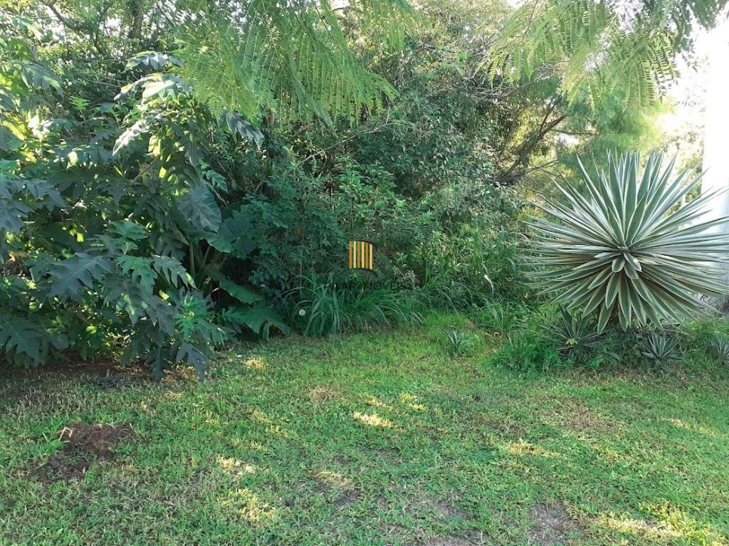Terreno no bairro Ipanema