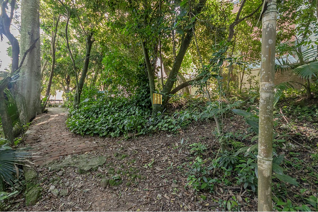 Apartamento 2 dormitórios no bairro Tristeza