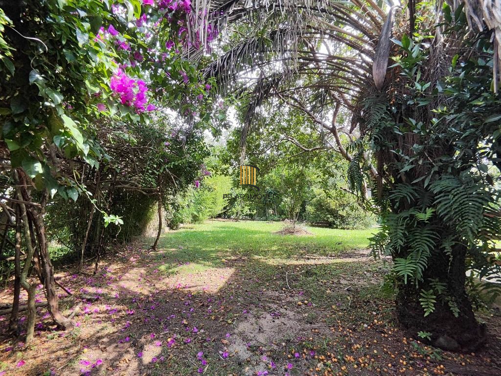 Fazenda no bairro Passo da Branquinha