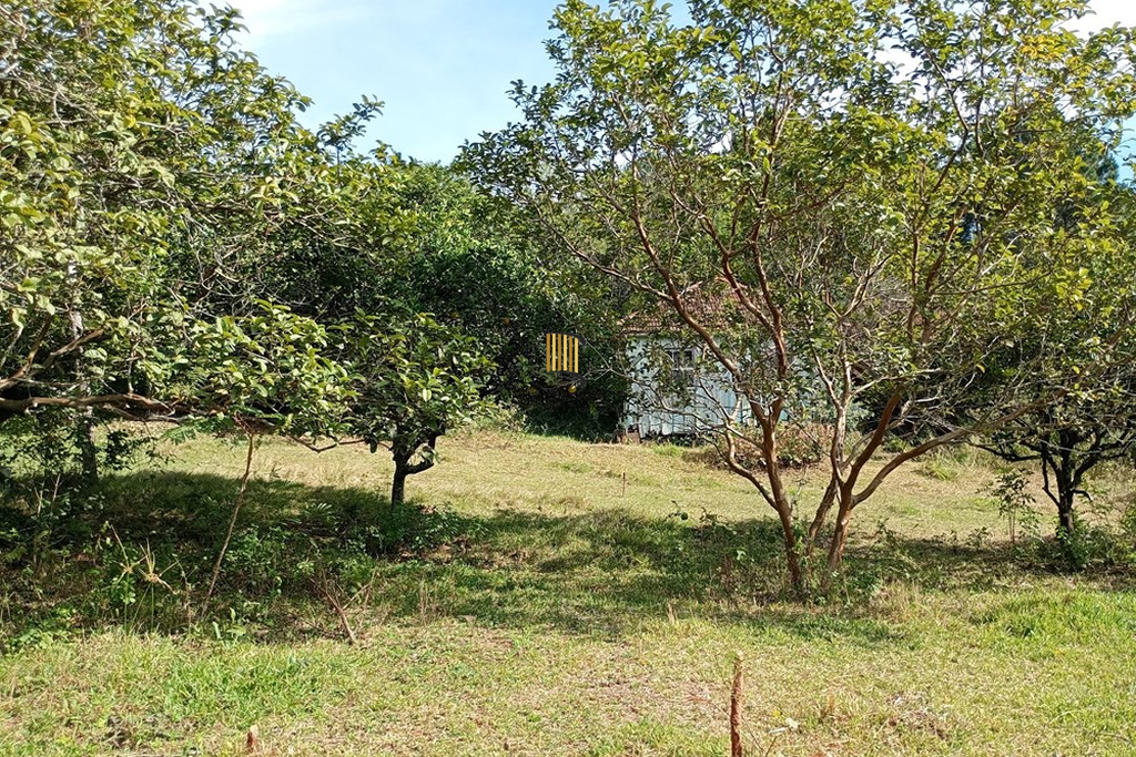 Fazenda no bairro Belém Novo