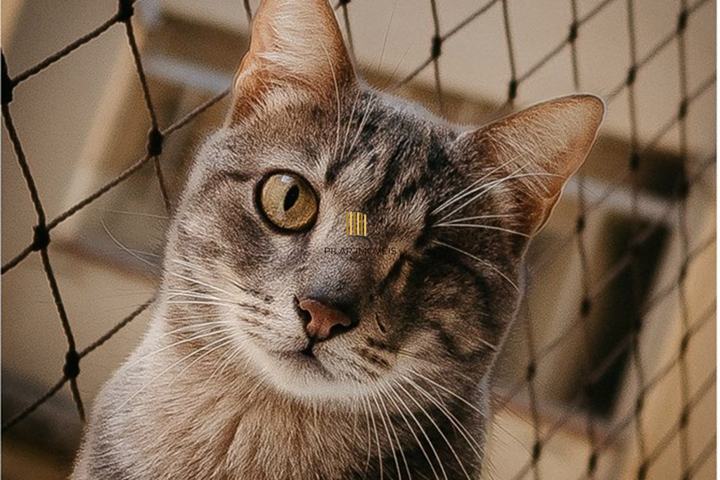 Apartamento 2 dormitórios no bairro Petrópolis