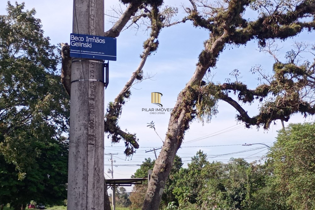 Fazenda no bairro Belém Novo - Pilar Imóveis