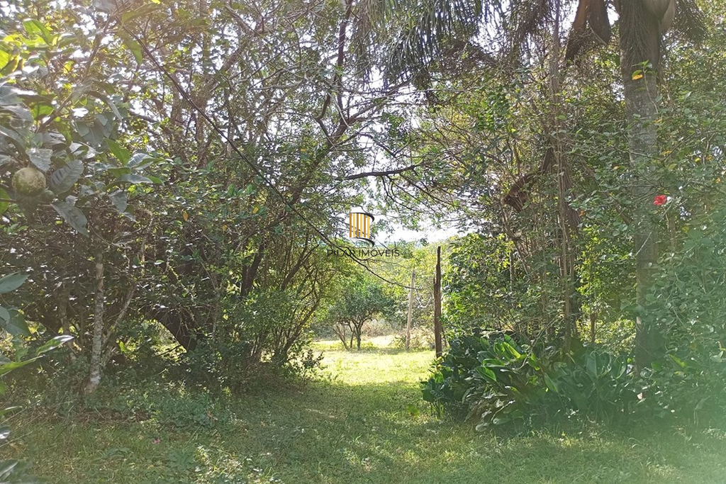 Fazenda no bairro Belém Novo
