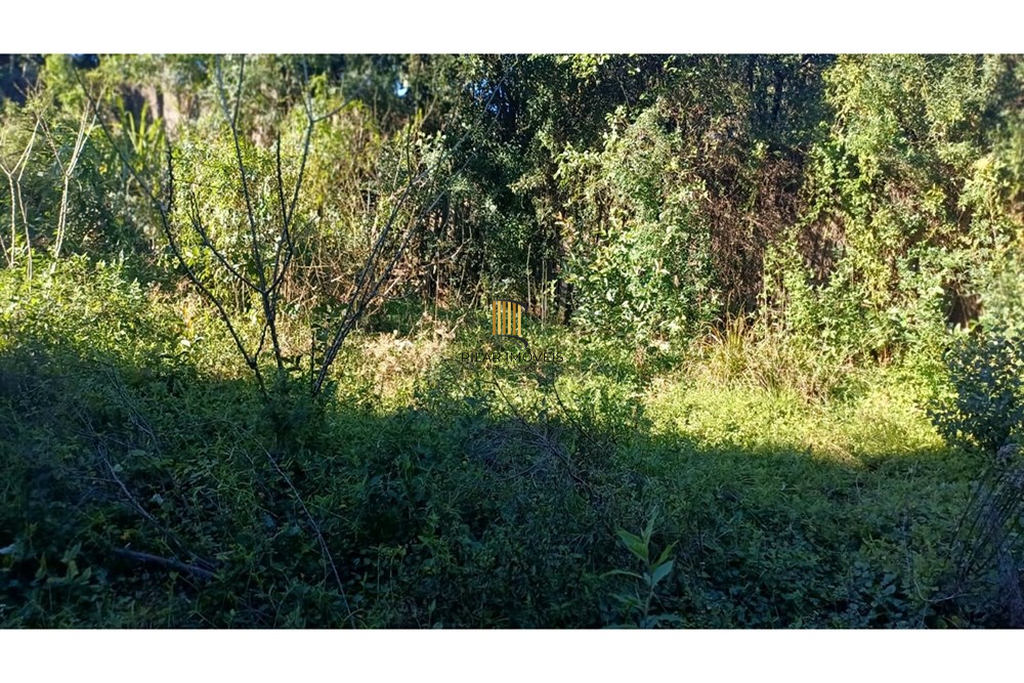 Fazenda no bairro Aparecida