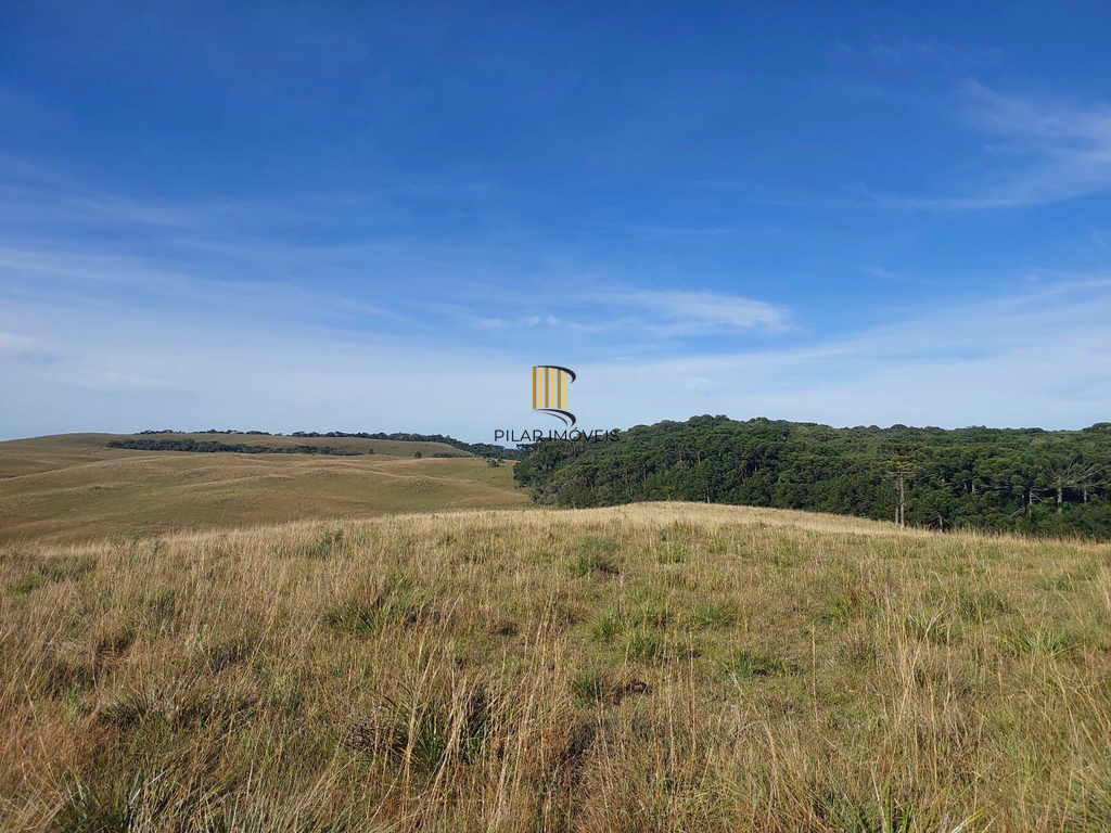 Fazenda no bairro Fazenda Souza
