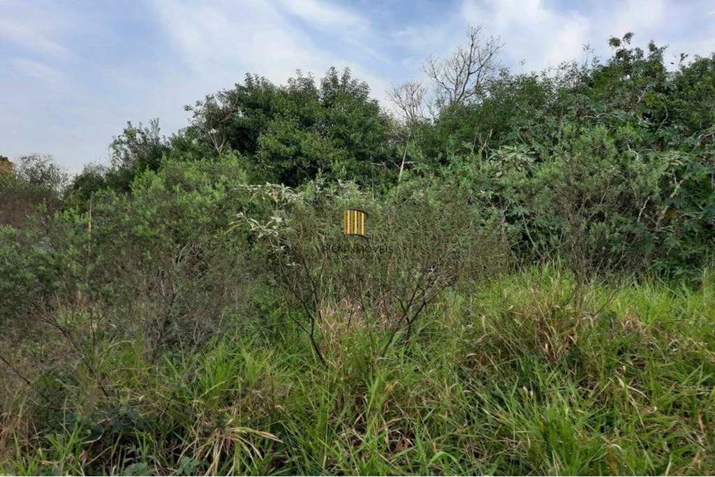 Terreno no bairro São Lucas