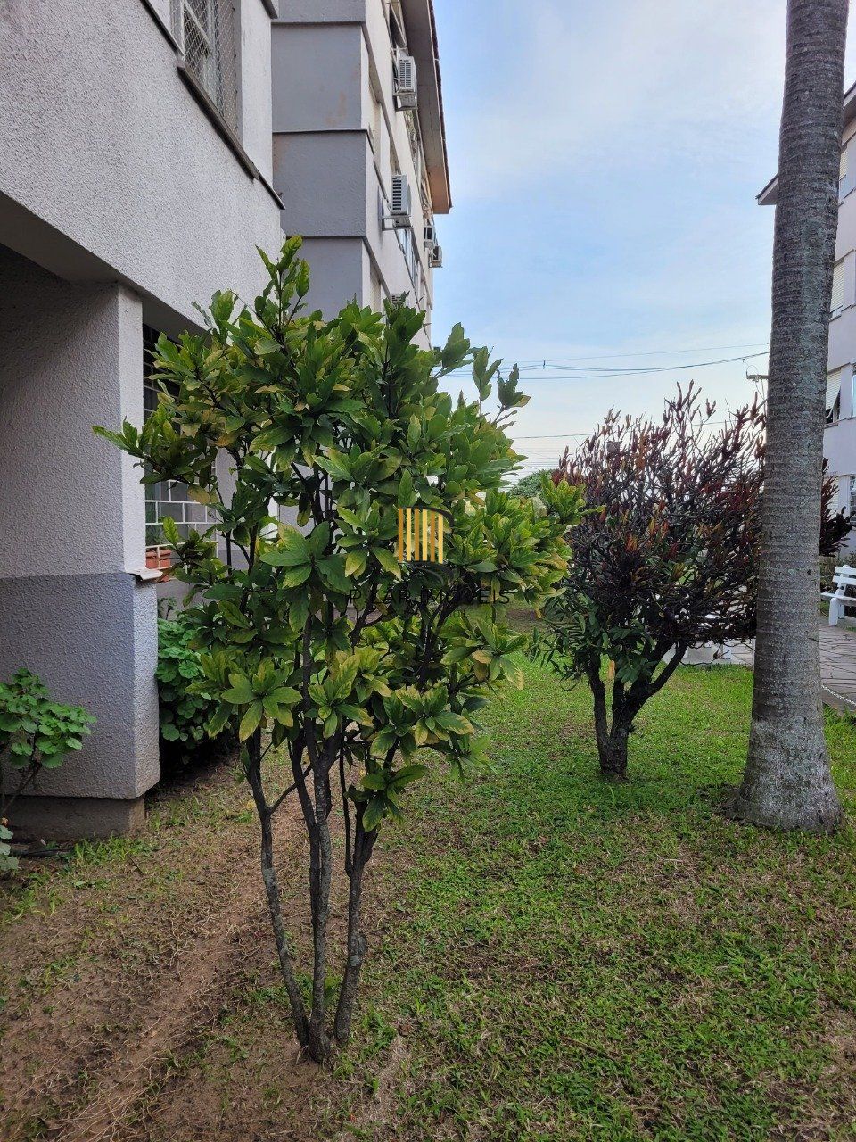 Apartamento 2 dormitórios no bairro Cristal
