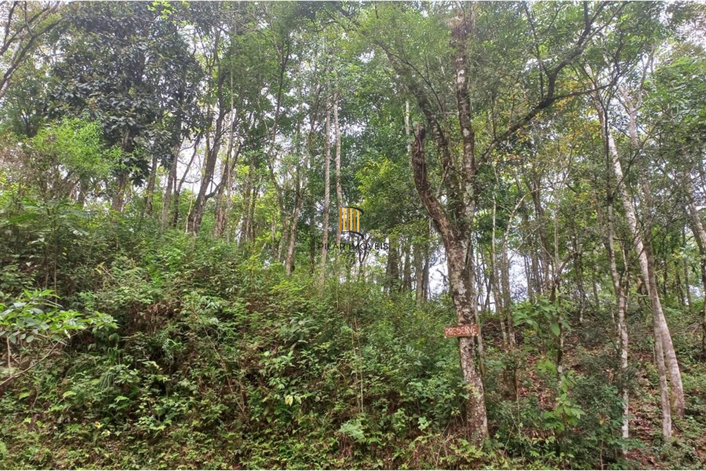 Fazenda no bairro Rolante