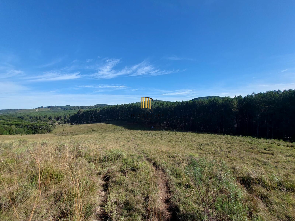 Fazenda no bairro Fazenda Souza