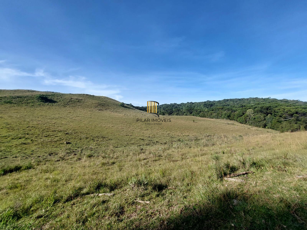 Fazenda no bairro Fazenda Souza