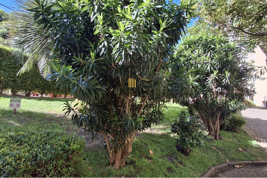 Apartamento 3 dormitórios no bairro Jardim Carvalho