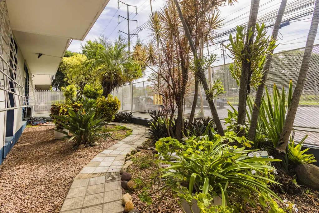 Apartamento 3 dormitórios no bairro Azenha