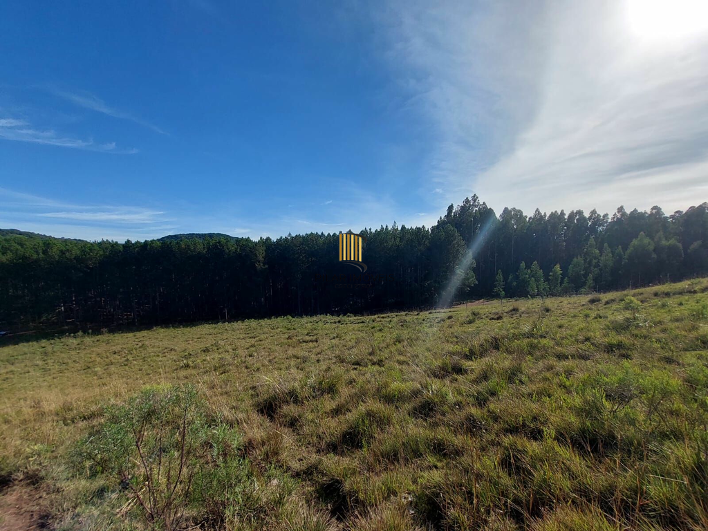 Fazenda no bairro Fazenda Souza