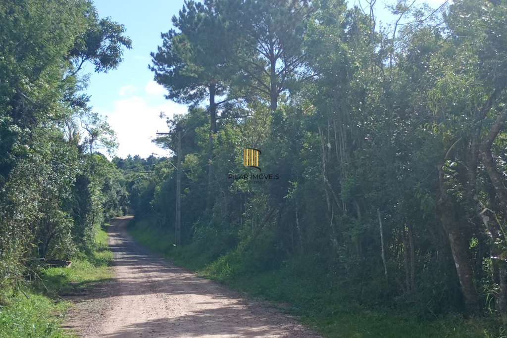 Fazenda no bairro Belém Novo