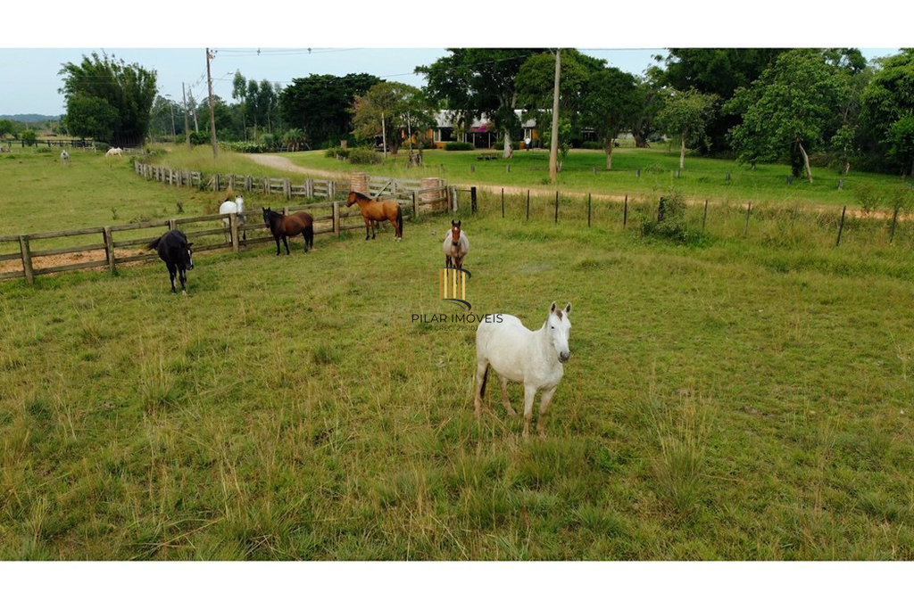 Fazenda no bairro São José