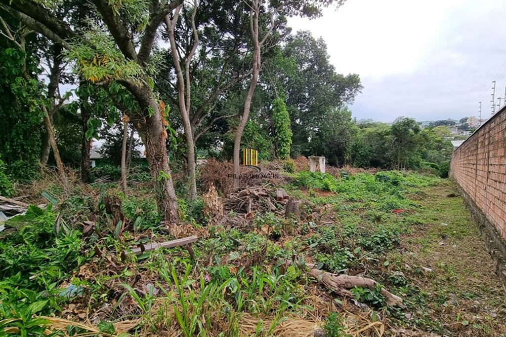Terreno no bairro Nonoai