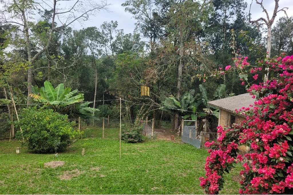 Fazenda no bairro Centro
