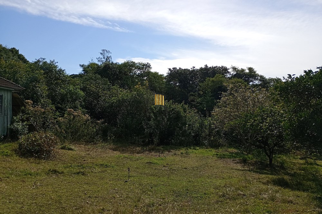 Fazenda no bairro Belém Novo