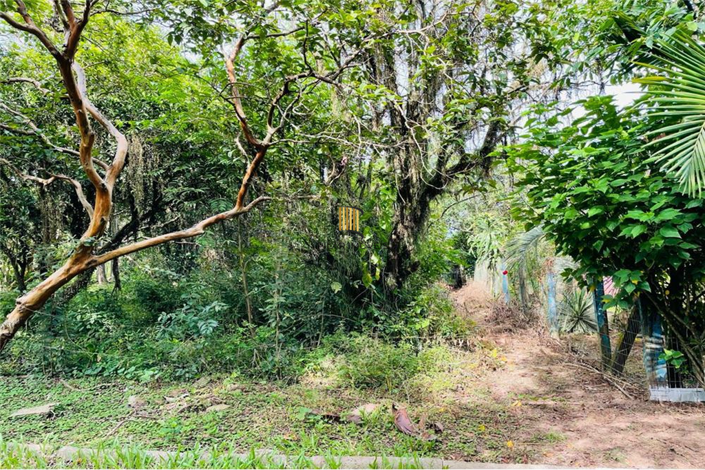 Terreno no bairro Centro