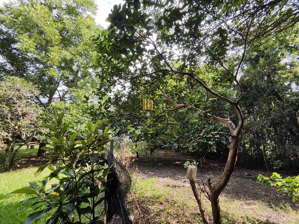 Fazenda no bairro Passo da Branquinha