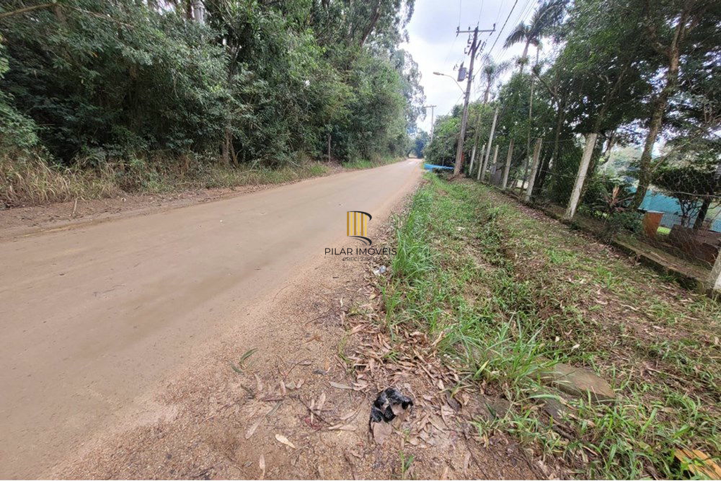 Fazenda no bairro Centro