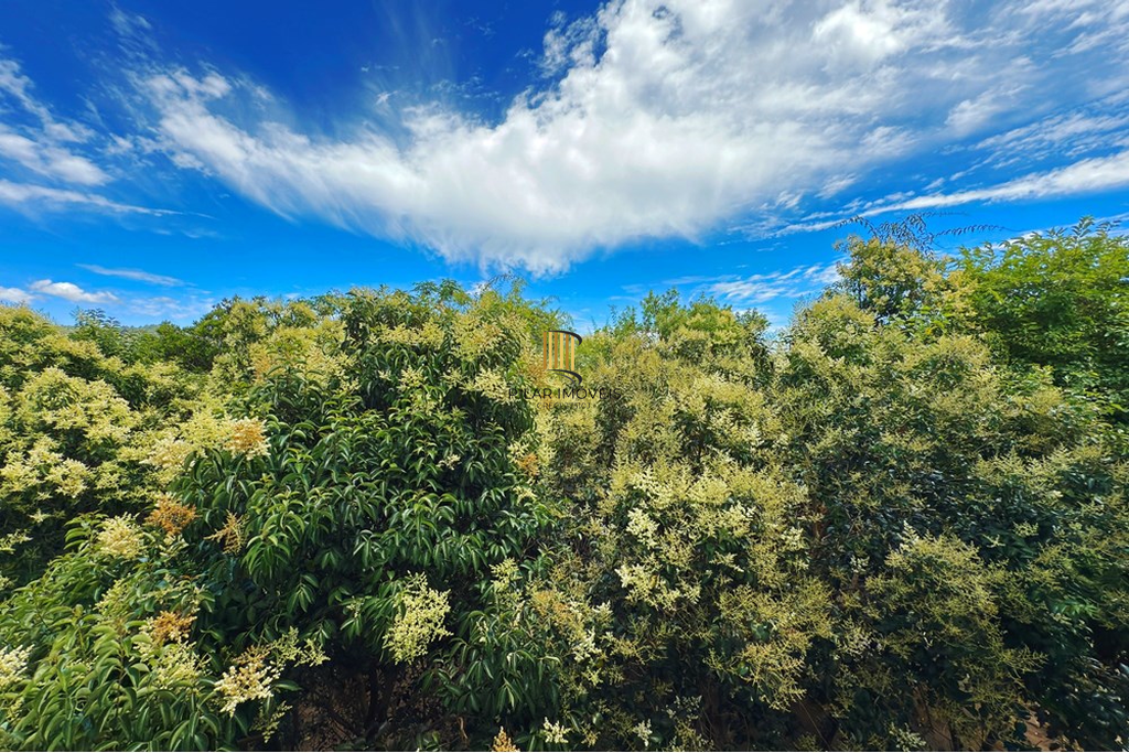 Apartamento 3 dormitórios no bairro Aberta dos Morros