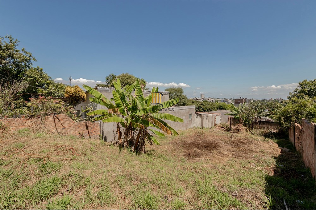 Terreno no bairro Tristeza