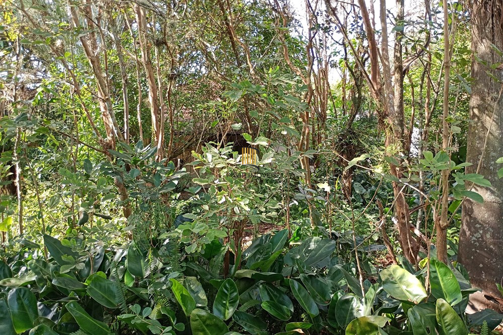 Fazenda no bairro Belém Novo