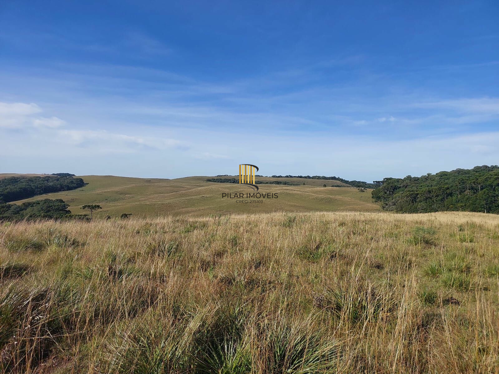 Fazenda no bairro Fazenda Souza