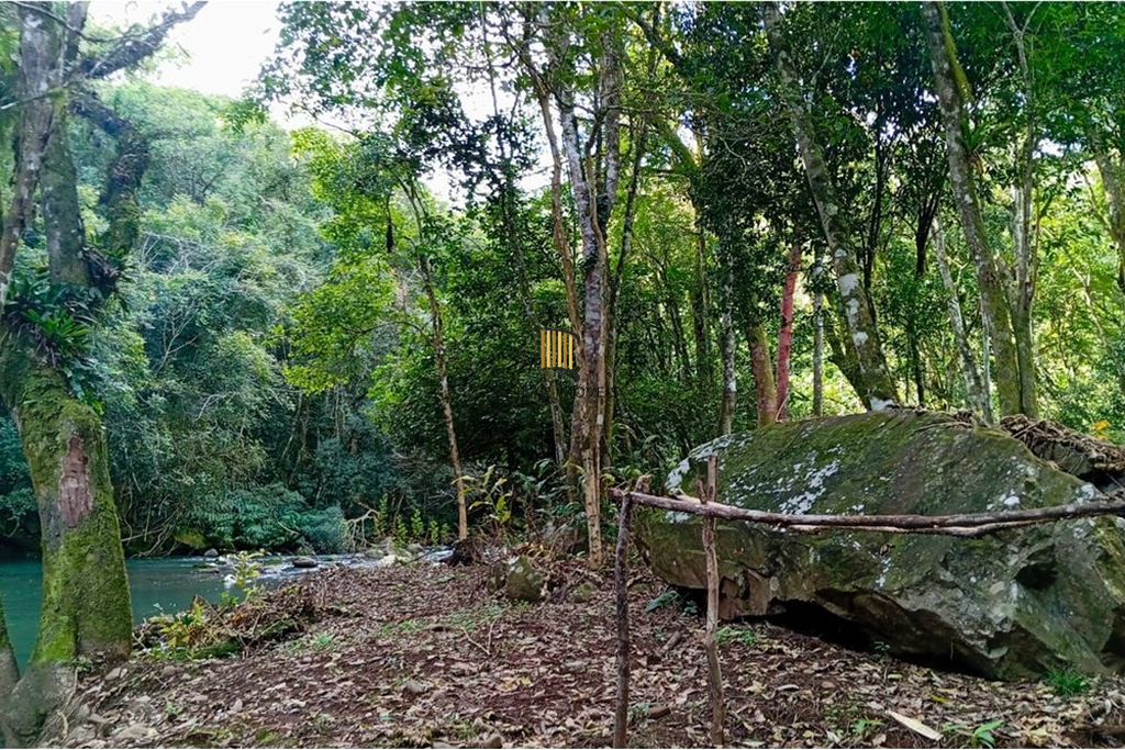 Fazenda no bairro Rolante