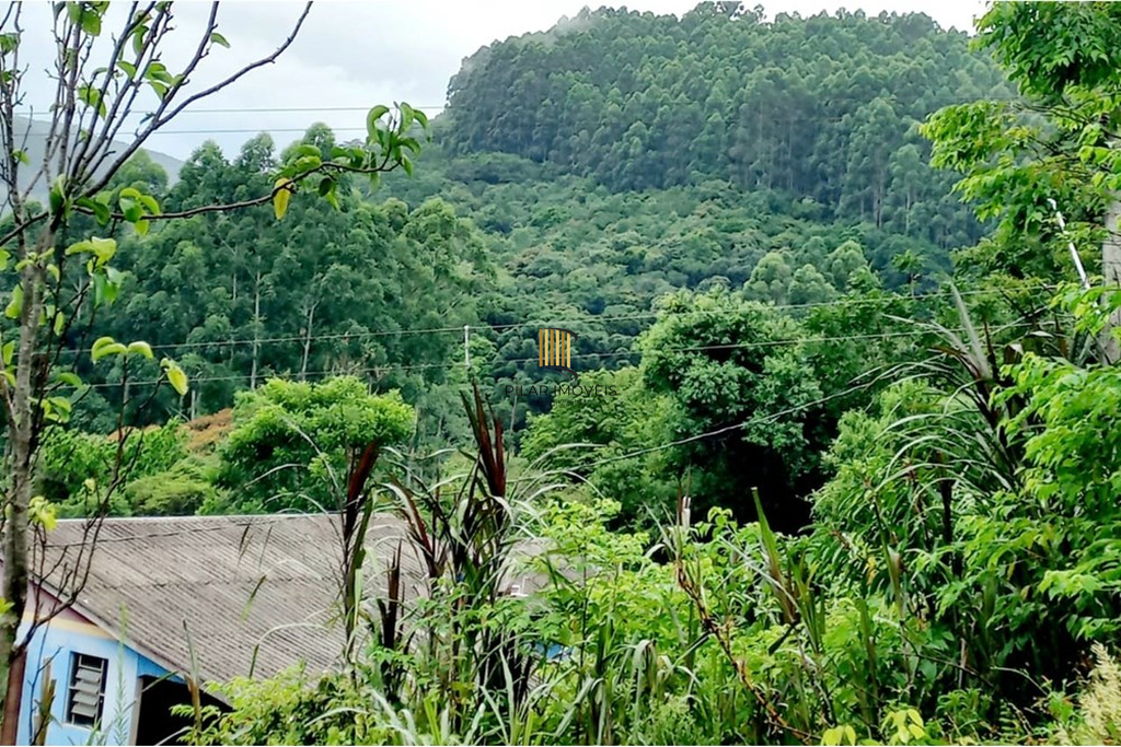 Fazenda no bairro Riozinho