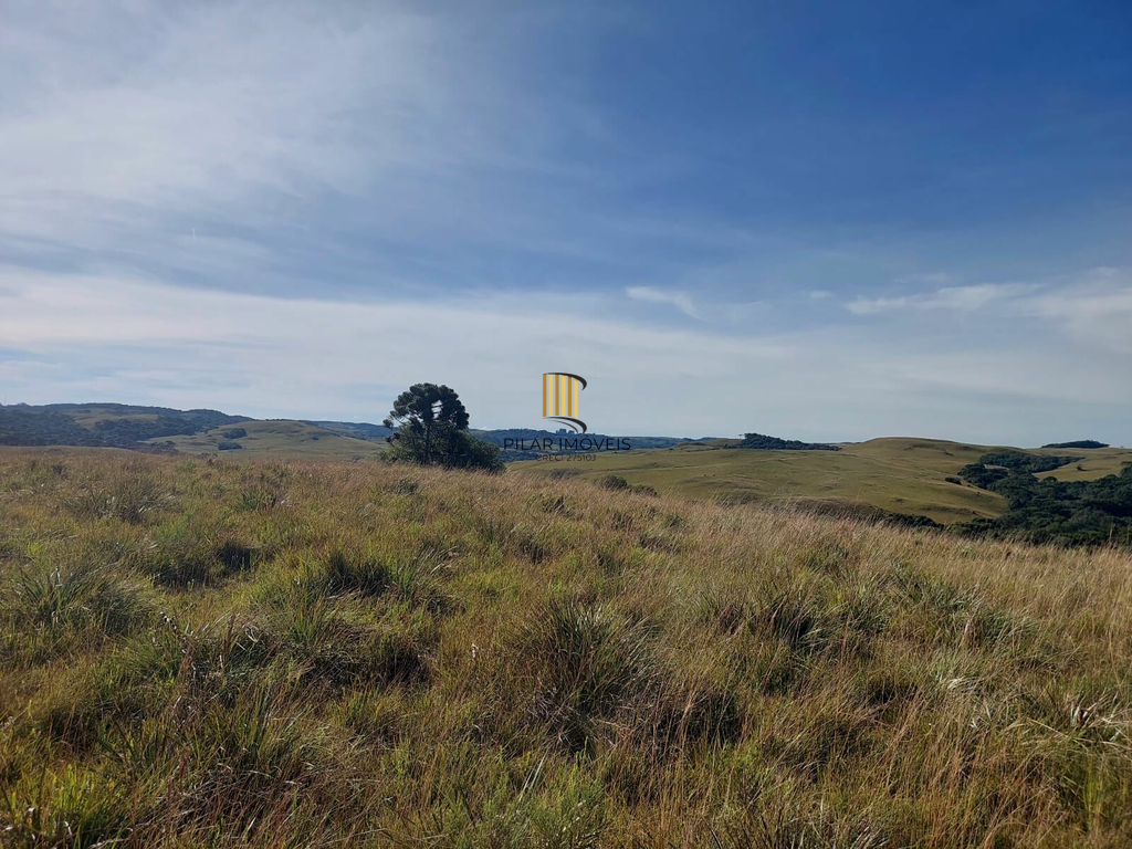 Fazenda no bairro Fazenda Souza