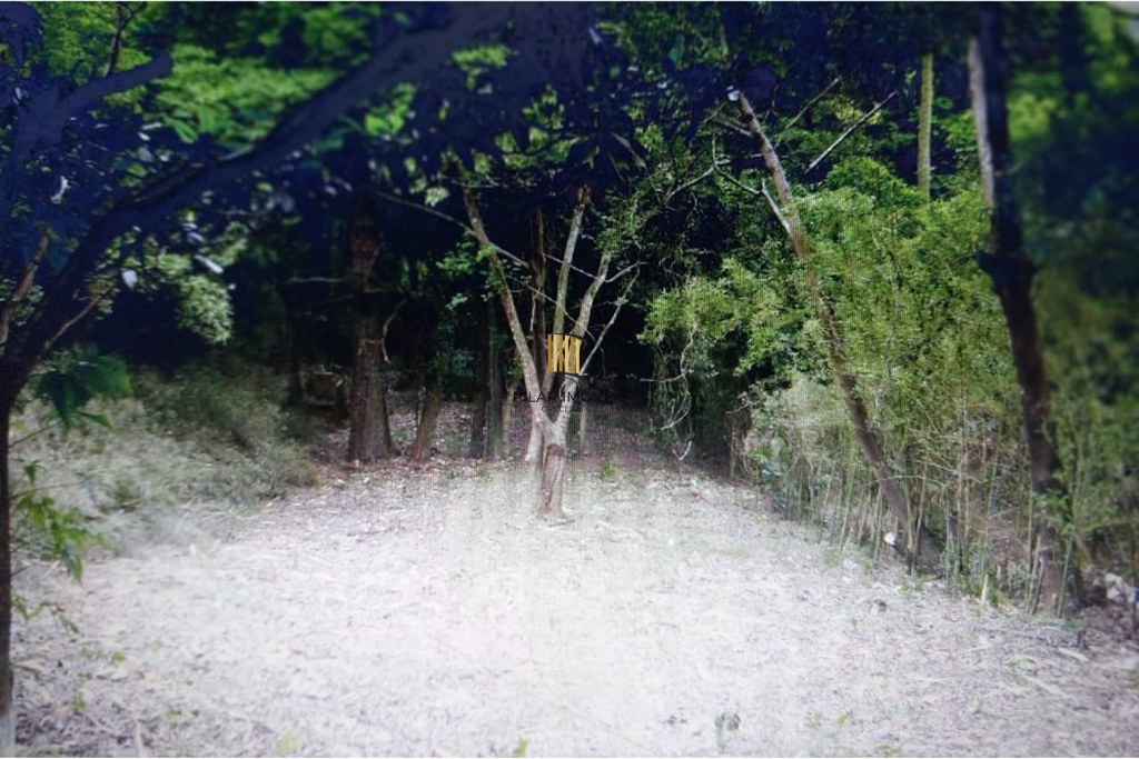 Terreno no bairro Nonoai