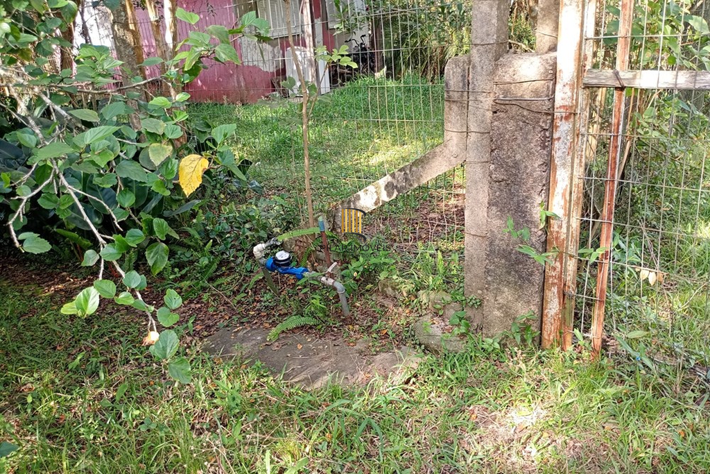 Fazenda no bairro Belém Novo