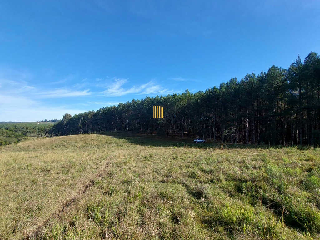 Fazenda no bairro Fazenda Souza