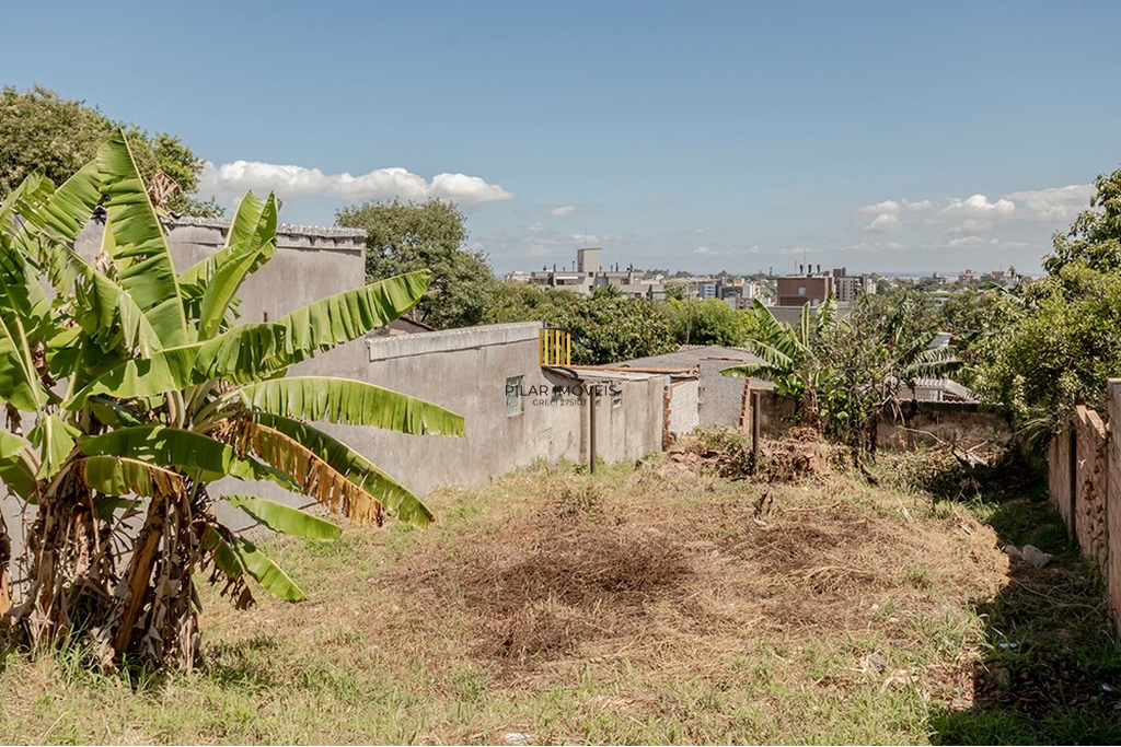 Terreno no bairro Tristeza