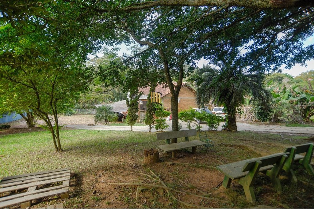 Fazenda no bairro Centro