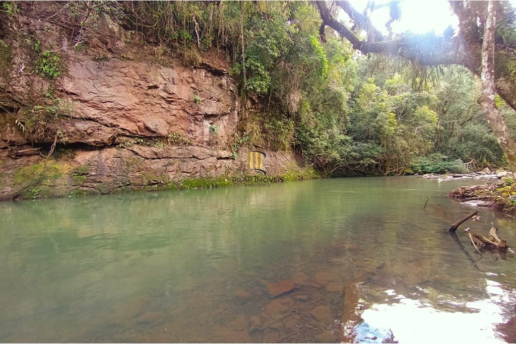 Fazenda no bairro Rolante