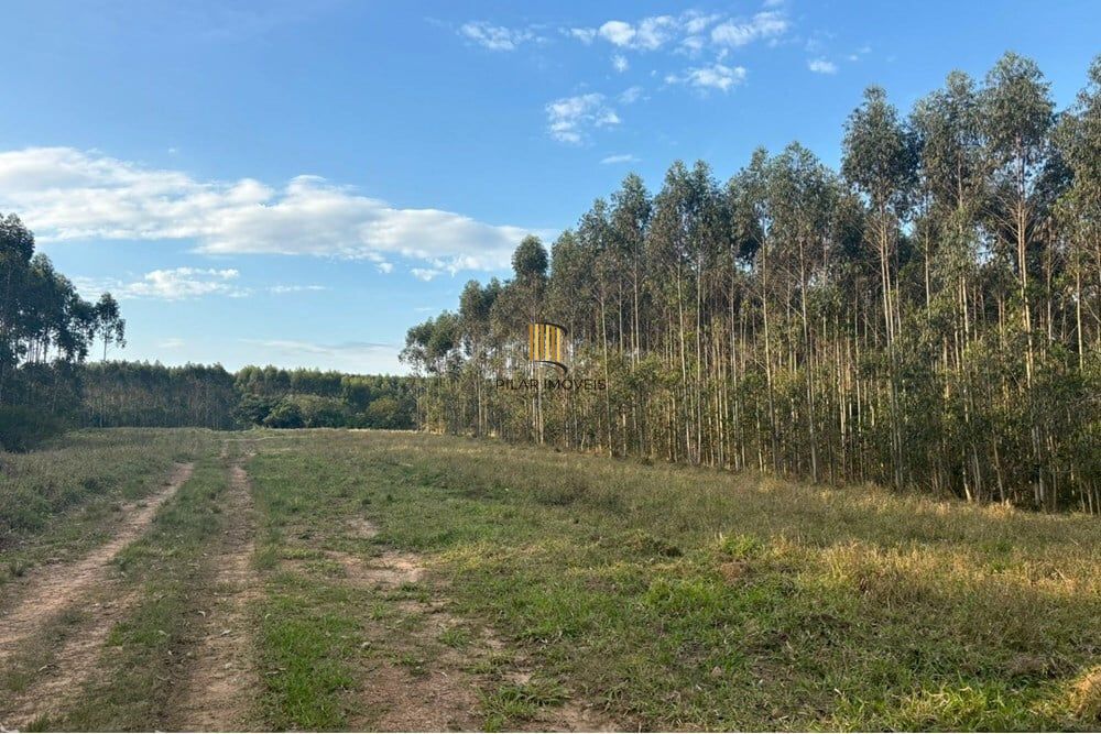 Fazenda no bairro Centro