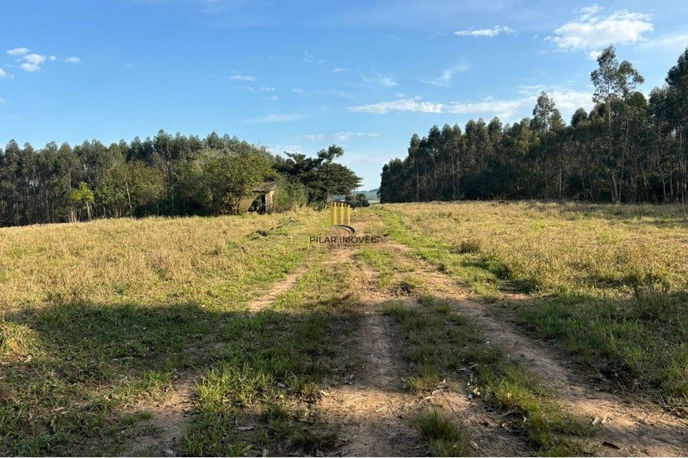 Fazenda no bairro Centro