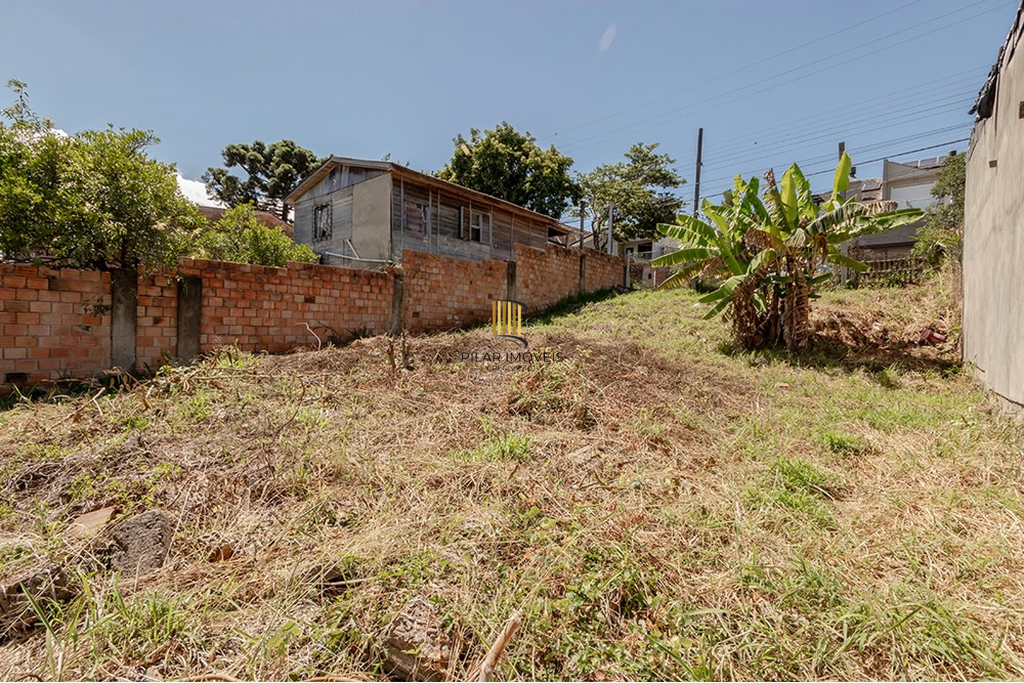 Terreno no bairro Tristeza