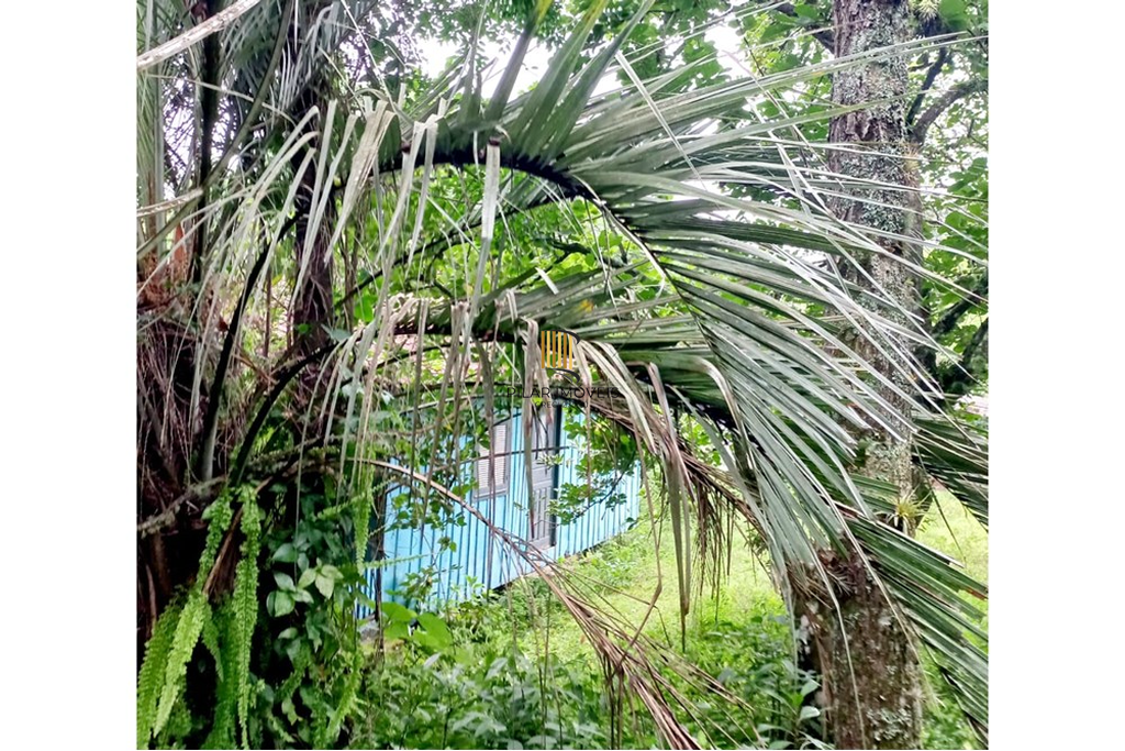 Fazenda no bairro Riozinho