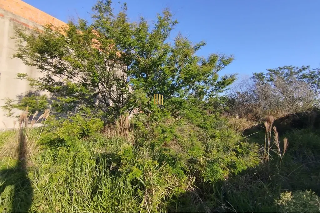 Terreno no bairro Brigadeira - Pilar Imóveis